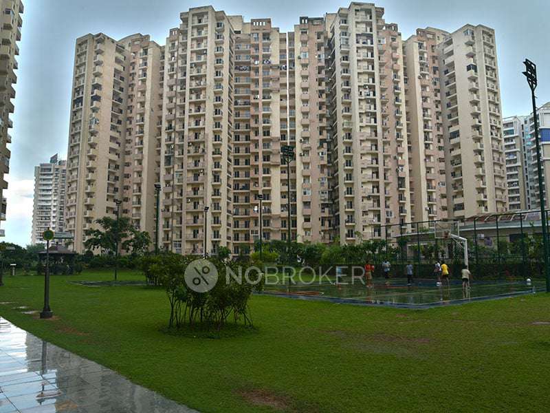 Shared Room for Male In 3 BHK  In Paramount Floraville In Sector 137