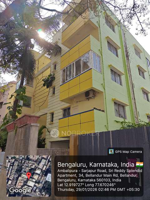 3 BHK Flat for Rent  In Sri Reddy Splendid Apartment