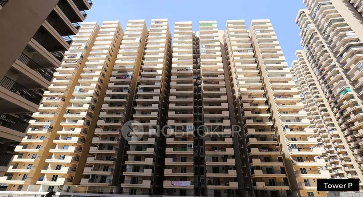 Single Room for Female In 1 RK  In  Gaur City 4th Avenue In Noida Extension, Noida