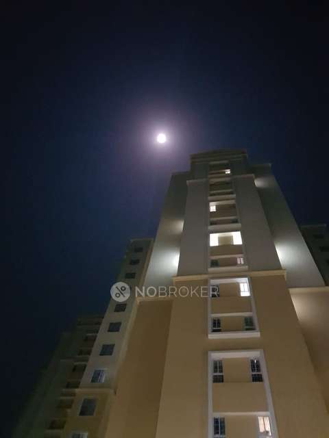 1 BHK Flat In Dmk Stella For Sale  In Moshi