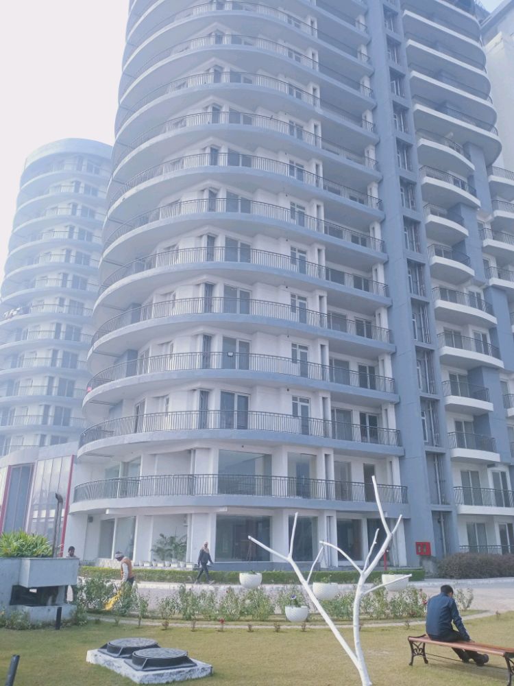 Home&Soul Beetle Lap