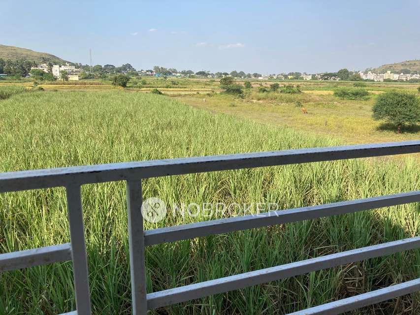 1 BHK Flat In Malhotra Avenue for Rent  In  Ravet