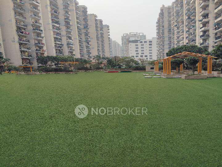 Single Room for Male In 3 BHK  In  Gaur City 4th Avenue In Noida Extension, Noida