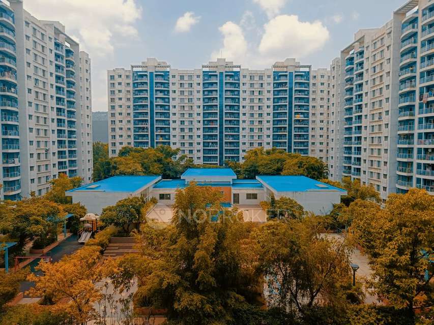 Single Room for Male In 3 BHK  In Megapolis Sunway In Hinjawadi
