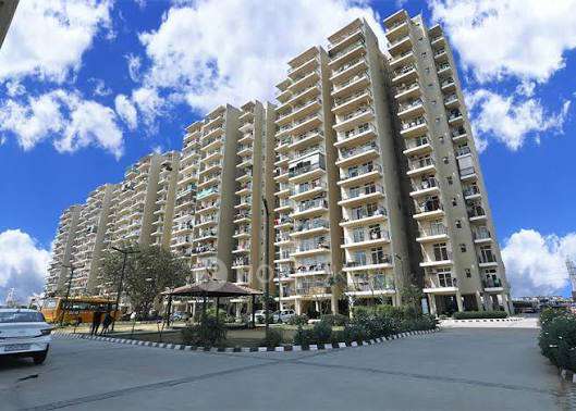 2 BHK Flat In Rof Aalayas For Sale  In Sector 102
