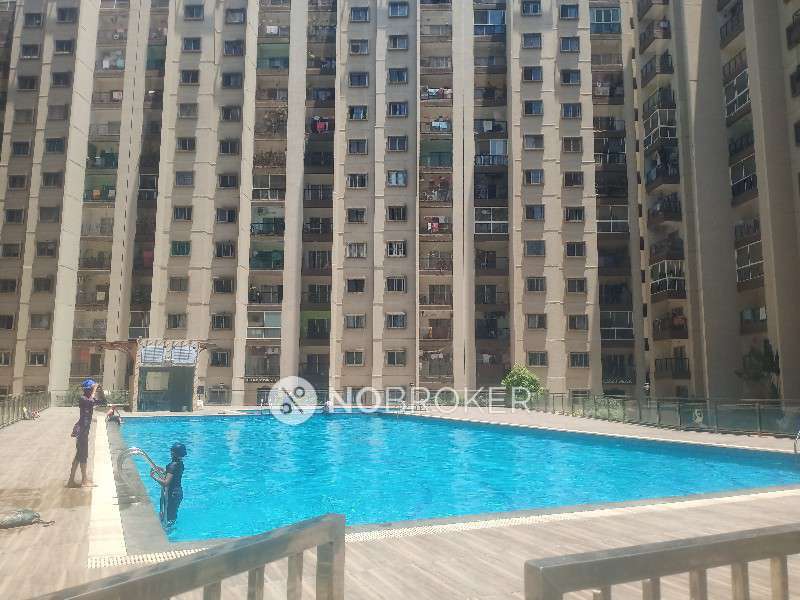 2 BHK Flat In Suncity Gloria Apartments for Rent  In Sarjapur Road