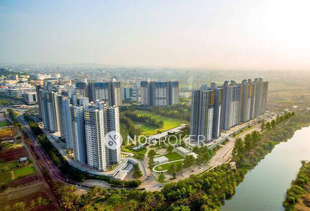 1 BHK Flat In Blue Ridge for Rent  In Hinjewadi