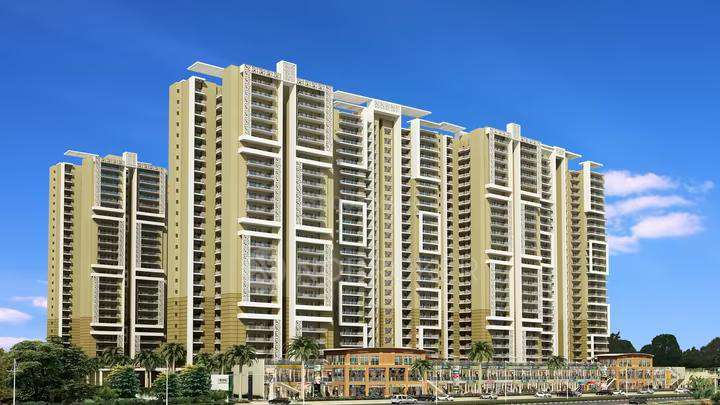 3 BHK Flat In Amrapali Crystal  for Rent  In Sector 76