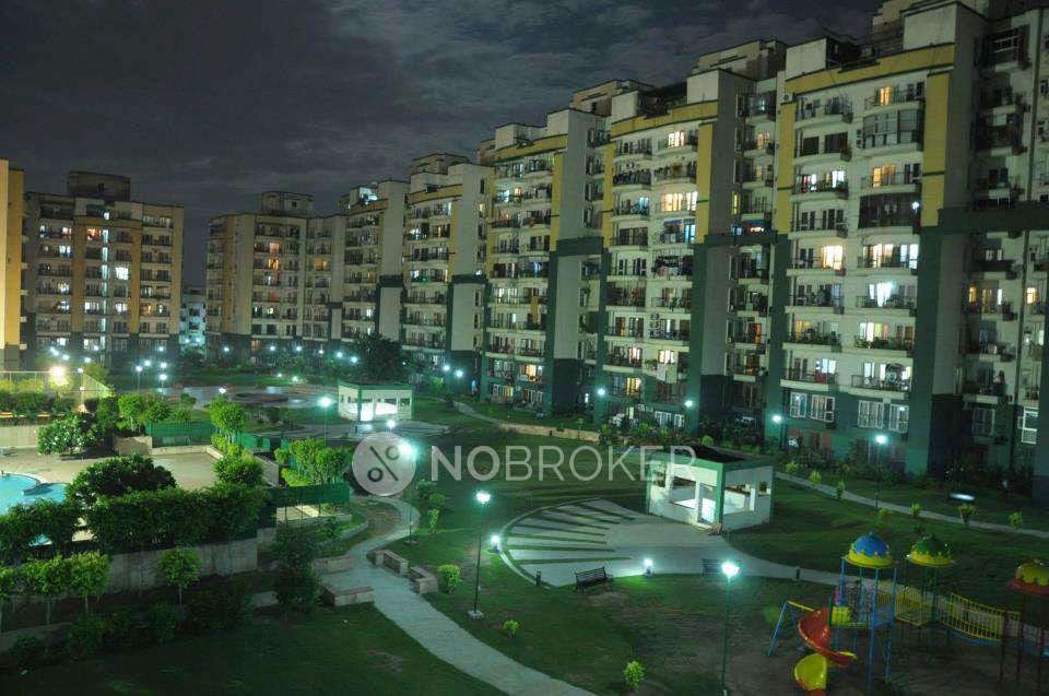 2 BHK Flat In Rps Green Valley for Rent  In Sector 41