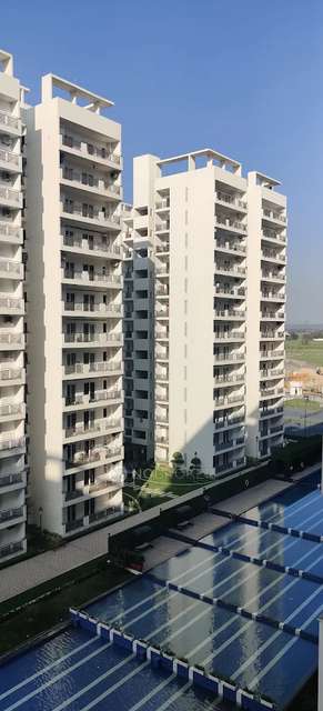 2 BHK Flat for Rent  In Central Park Flower Valley
