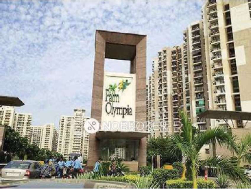 4+ BHK Flat In Palm Olympia for Rent  In Sector 62
