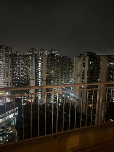 4+ BHK Flat In Palm Olympia for Rent  In Sector 62