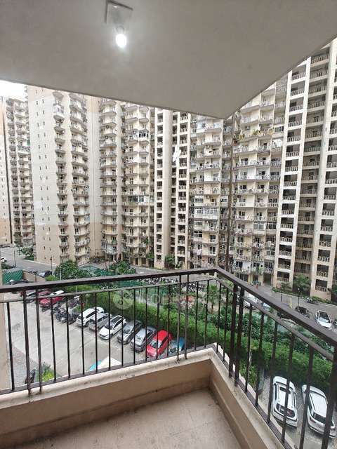 3 BHK Flat In Rg Luxury Phase 2 for Rent  In Noida Extention