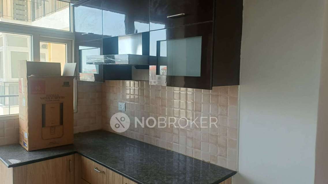 4+ BHK Flat In Amrapali Crystal  for Rent  In Sector 76