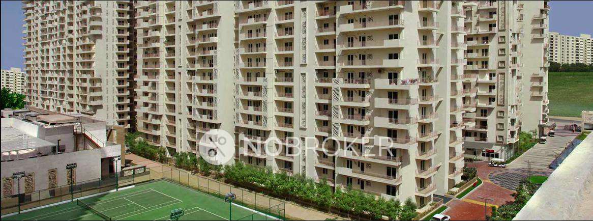 Single Room for Female In 3 BHK  In Mahagun Moderne In Sector 78