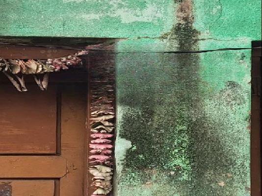 2 BHK House for Lease  In Nandini Layout