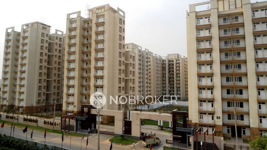 3 BHK Flat In Tulip Orange for Rent  In Sector 70
