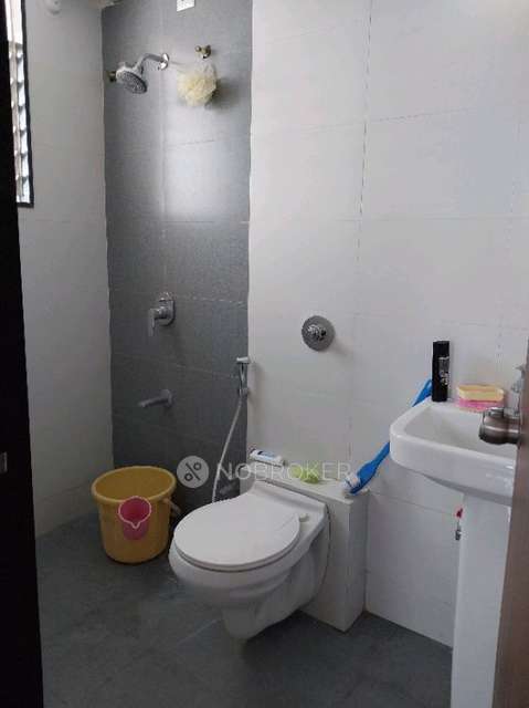 3 BHK Flat In Krisala 41 Estera for Rent  In  Punawale