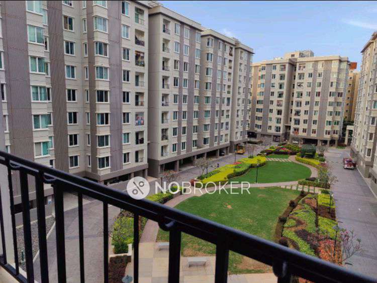 3 BHK Flat In Brigade Orchards for Rent  In Devanahalli