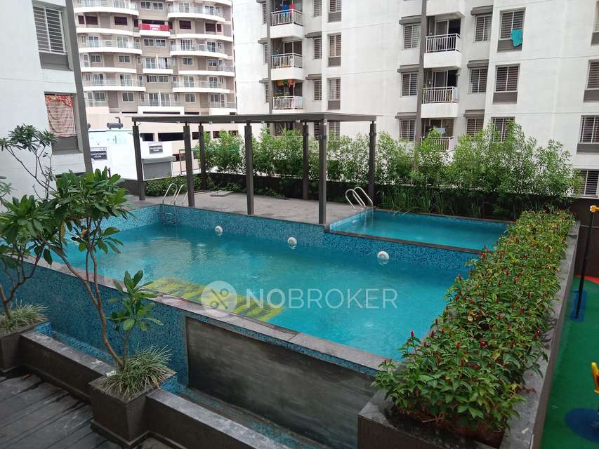 2 BHK Flat In Itrend Life 3 for Rent  In Wakad