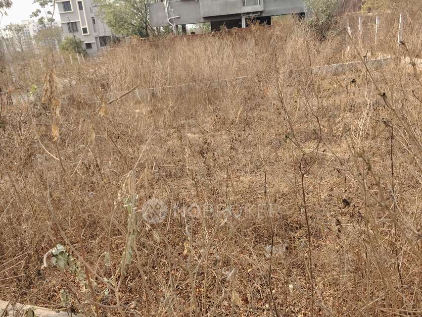 Plot For Sale  In Aditya Nisarg In Pirangut