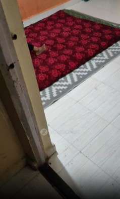 1 BHK Flat In Swayambu Apartment Fursungi For Sale  In Phursungi