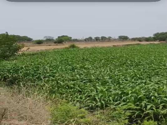 Plot For Sale  In Sun City In Wave City