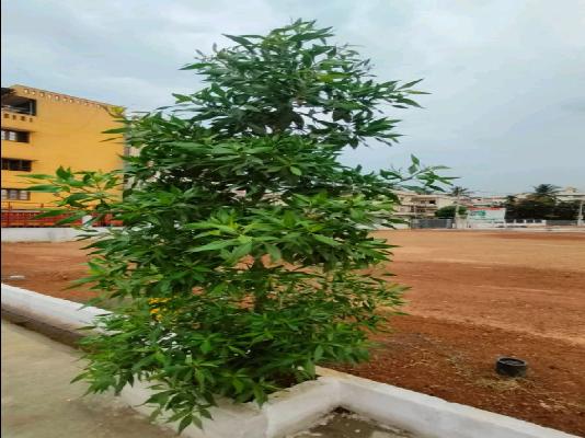 Plot For Sale  In &#39;oraiyan&#39; Sai Metro City  In Oraiyan Sai Metro City