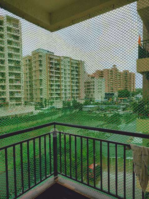 1 BHK Flat In Life Republic Arezo R16 for Rent  In Life Republic R16 Arezo C