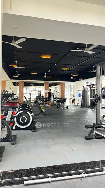 Shared Room for Female In 1 BHK  In Amanora Gold Towers In Hadapsar