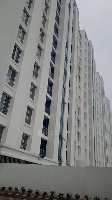 1 BHK Flat In Megapolis Saffron  for Rent  In Hinjawadi