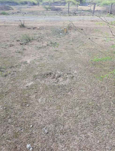 Plot For Sale  In Arambakkam