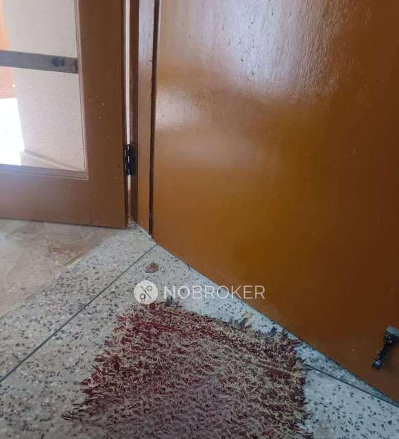 3 BHK Flat In Amrapali Platinum For Sale  In Sector-119