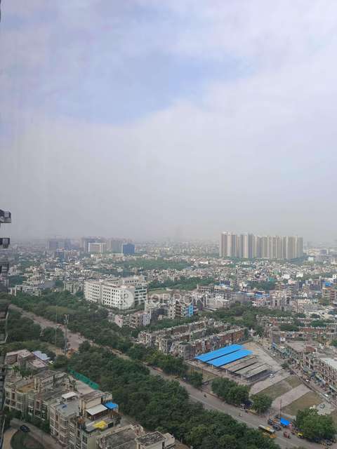 3 BHK Flat In Amrapali Platinum For Sale  In Sector-119