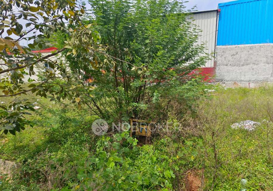 Plot For Sale  In Sri Sai Layout In Kattigenahalli