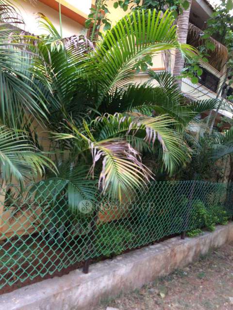 2 BHK Flat In Standalone for Rent  In Habsiguda