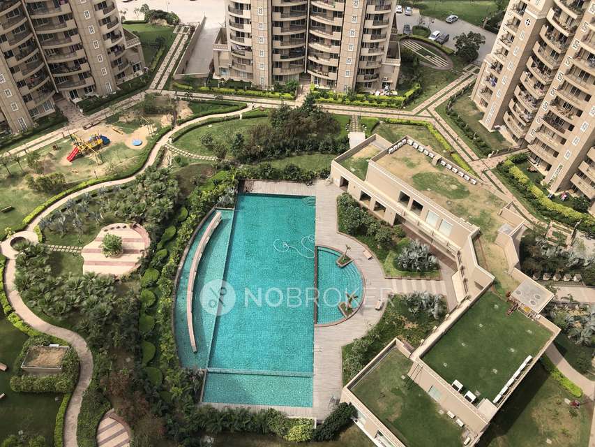 3 BHK Flat In Ats Kocoon for Rent  In Sector 109
