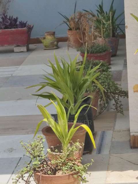 PG for Boys in Shanti Nagar, Shivaji Nagar, Sector 11