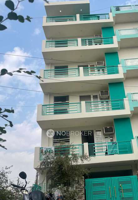 PG for Anyone in Sector 53, 