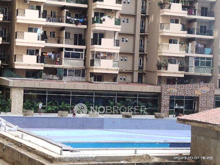 2 BHK Flat In Gaurs Gaur City  for Rent  In Sector-4