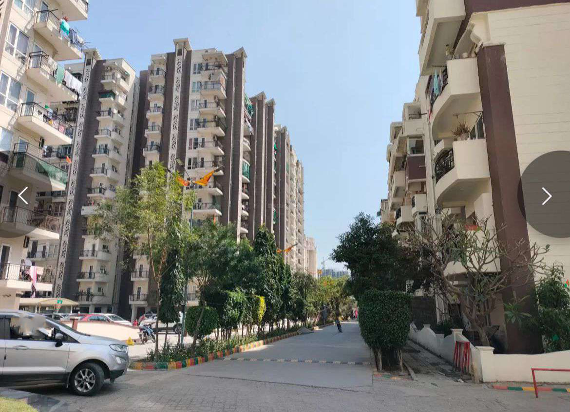 Niho Scottish Gardens