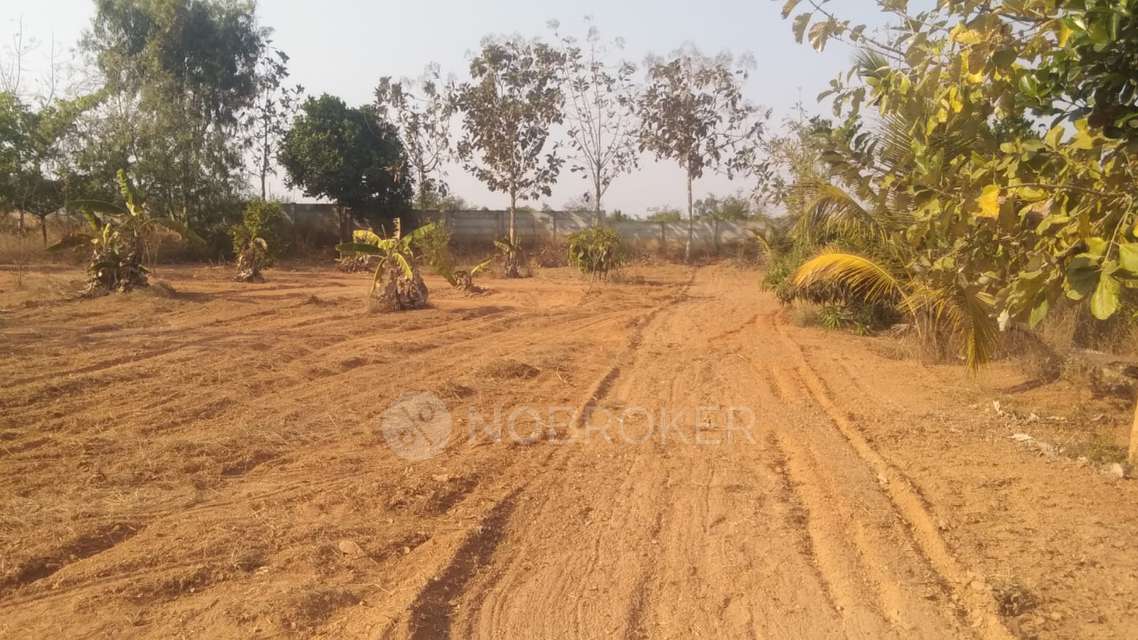 Plot For Sale  In Hoskote Toll