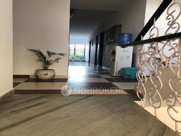 PG for Boys in Sector 45