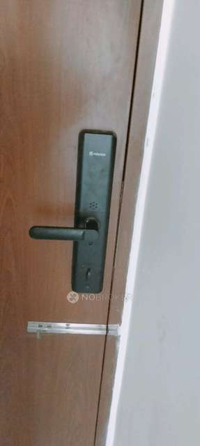 2 BHK Flat In Kohinoor Coral Phase 3 for Rent  In Hinjewadi