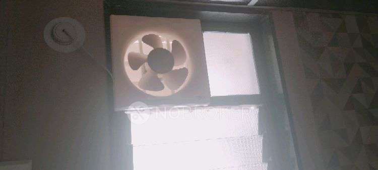 2 BHK Flat In Kohinoor Coral Phase 3 for Rent  In Hinjewadi