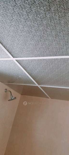 2 BHK Flat In Kohinoor Coral Phase 3 for Rent  In Hinjewadi