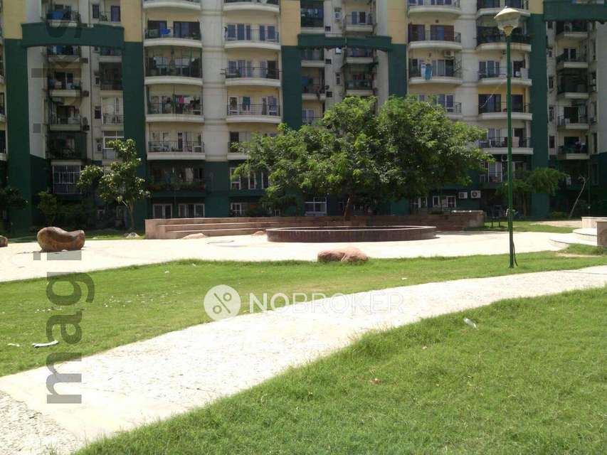 3 BHK Flat In Rps Green Valley for Rent  In Sector 41