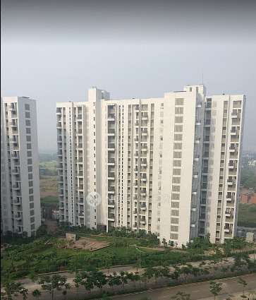 1 BHK Flat In Lodha Pavla Codenamez for Rent  In Kalyanshill Road