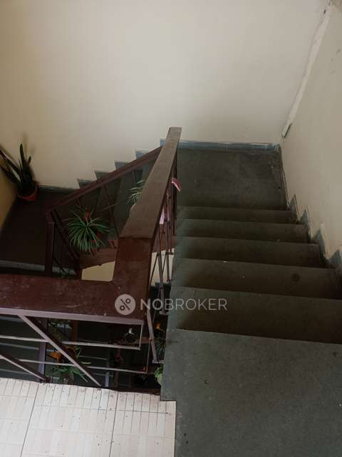 3 BHK Flat In Apartment For Sale  In Saket