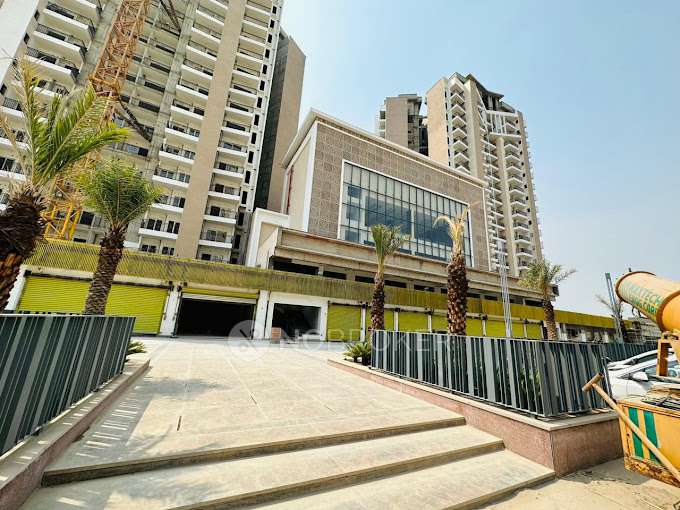 3 BHK Flat In Ace Divino for Rent  In Sector 1